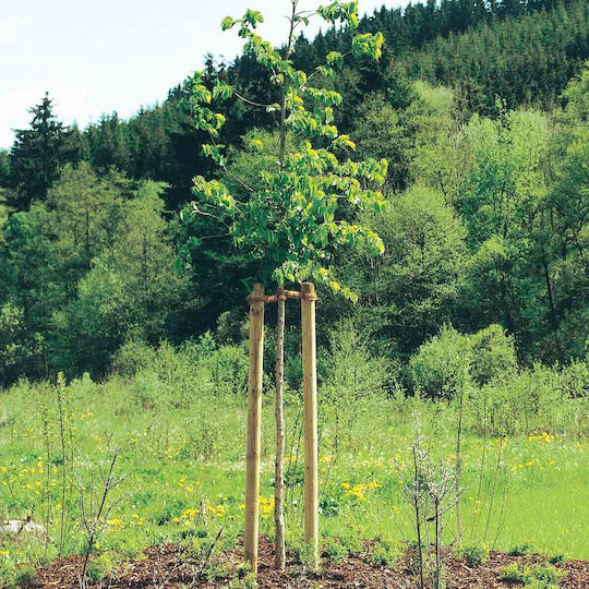 Showood Garden Fencing Material with Nose 1pcs
