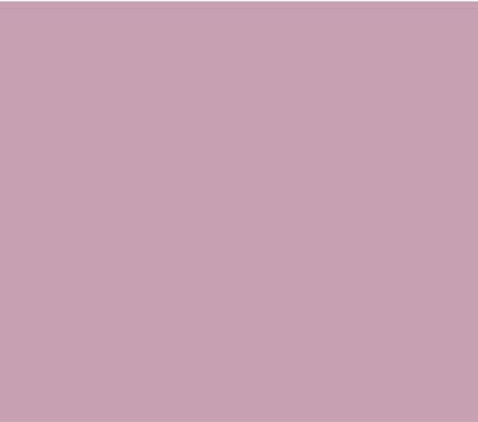 La Pajarita Vopsea Tabla De Scris Culoare Full Face Hortensia Roz 75ml CP-08