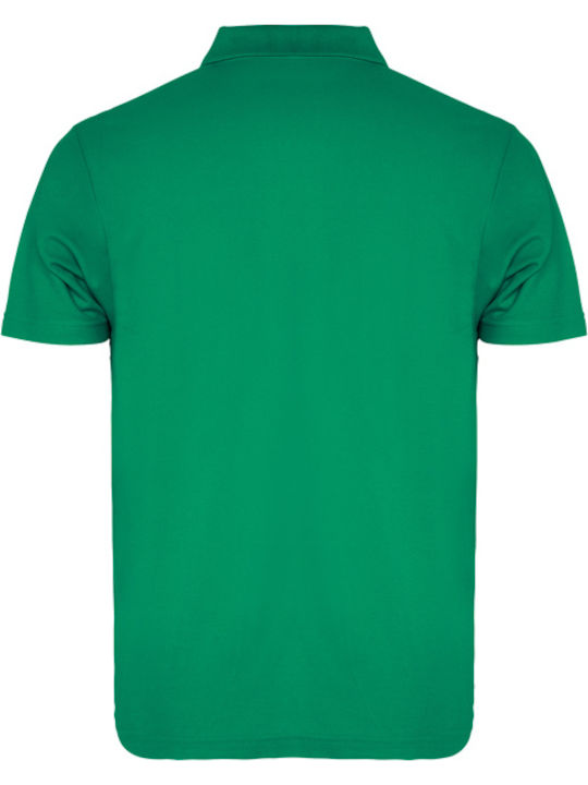 Austral Polo Bluză cu mânecă scurtă Verde