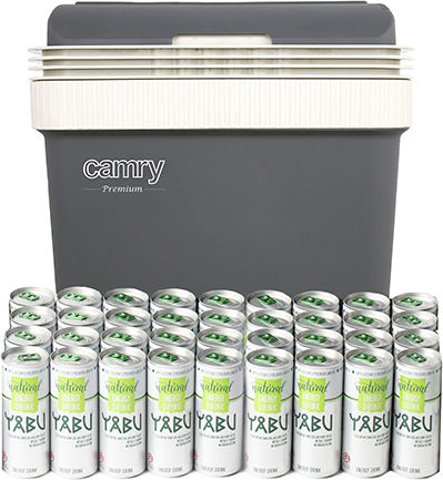 Camry Portable Thermoelectric Fridge 21L 12V / 220V Gray