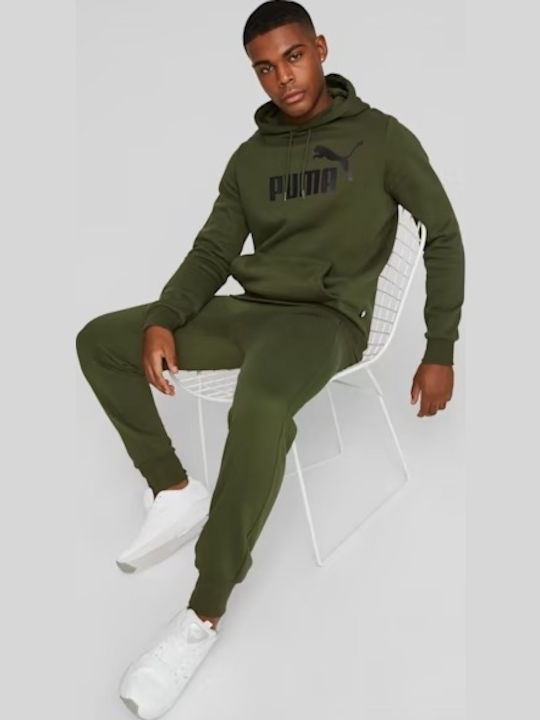 Big Logo Sweatshirt with Hood Green