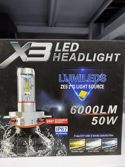 Car Xenon Kit H11 55W 12V 6000K Cold White