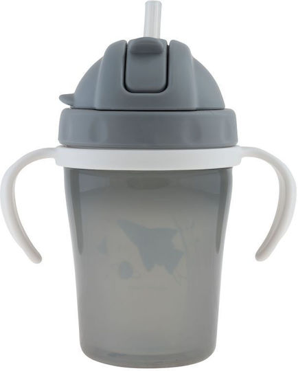 Stephen Joseph Kids Water Bottle Plastic with Straw Transparent 150ml
