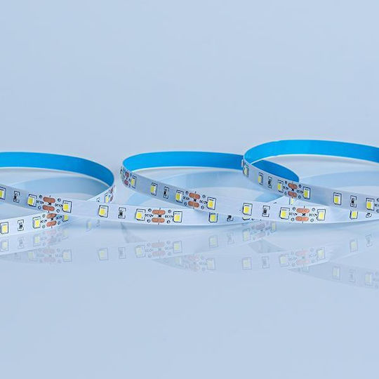 Eurolamp LED Strip 12V Cold White Light 5m Type SMD3528