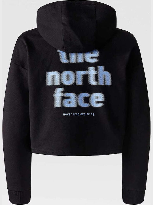 The North Face The North Face