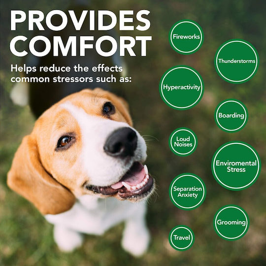 Vet's Best Comfort Calm Dietary Supplement for Dogs in Tablets 60 tabs for Anxiety & Stress Management