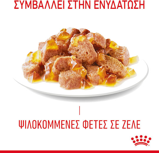 Royal Canin Wet Hairball Jelly Wet Food for Adult Cats in Pouches with Poultry 85gr