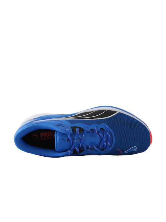 Redeem Profoam Sport Shoes Running Blue