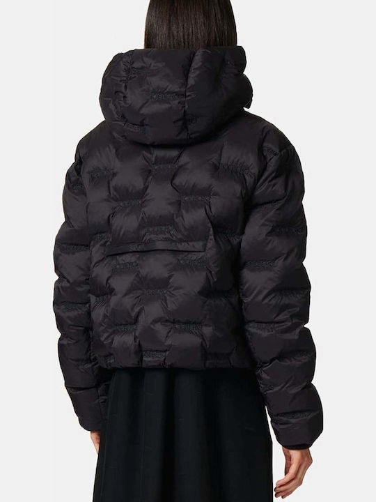 Iceberg Jacke Puffer Schwarz