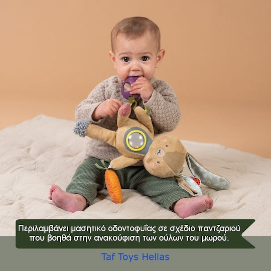Taf Toys Pendant Toy for Car with Teether 13185