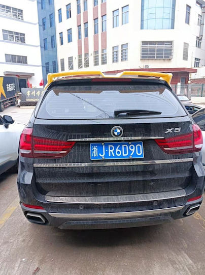 Αεροτομή Οροφής από Πλαστικό BMW X5