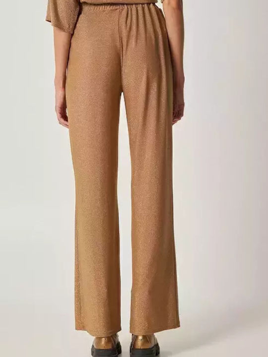 Desiree High Waisted Regular Fit Pant with Elastic Waistband Gold