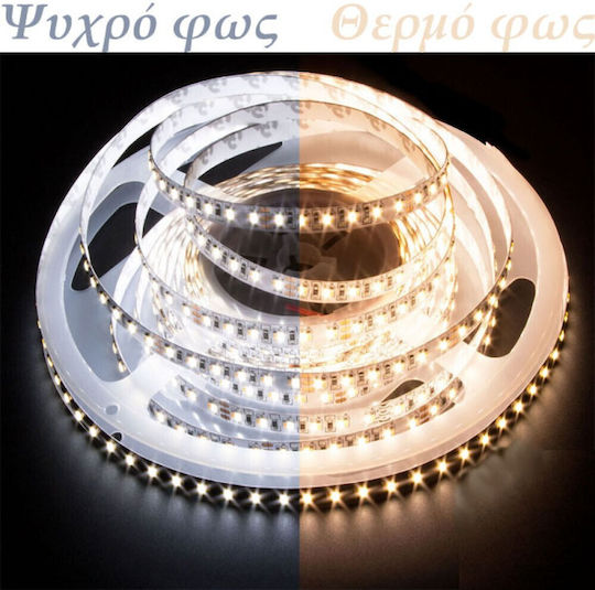 Eurolamp Αδιάβροχη Ταινία LED 24V Θερμό Λευκό Φως 5m Τύπου SMD2835
