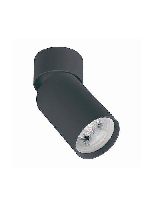 Zambelis Lights Einzel Spot mit Fassung GU10 in Schwarz Farbe