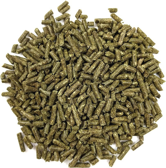Oxbow Young Guinea Pig Food Grass for Guinea Pig 2.28kg