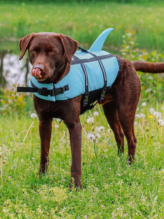Nobby Shark Dog Life Jacket Waterproof Small Light Blue 30cm