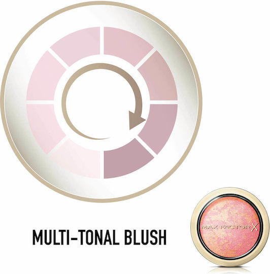Max Factor Max Factor Rouge 05 Lovely Pink 1,5 g