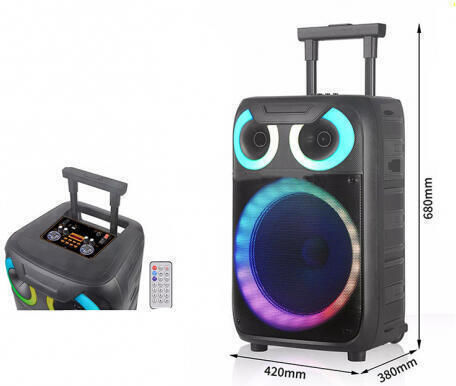 Andowl Karaoke Speaker with Wired Microphone and Lighting Effects YX8000 Q-YX8000 Black