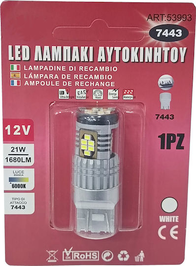 Sabrina Λάμπα LED 6000K Ψυχρό Λευκό 12V 21W 1τμχ