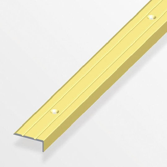 Alfer Aluminium Profile Aluminum for Steps 100x2.5x1cm