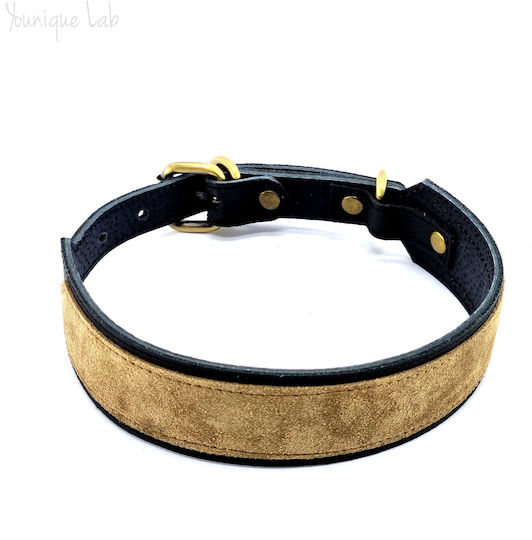 Younique Lab Dog Leash/Lead Leather MEDIUM in Black color 3cm