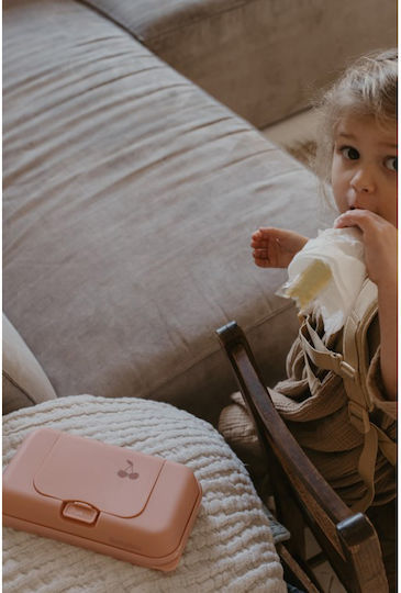 Funkybox Baby Wipes Case To Go