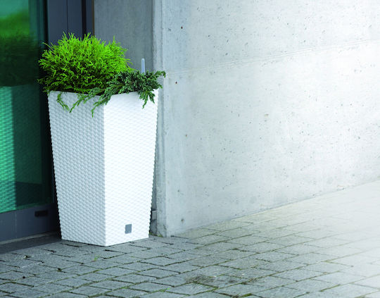 Prosperplast DRTS300 Κασπώ Rattan Καφέ