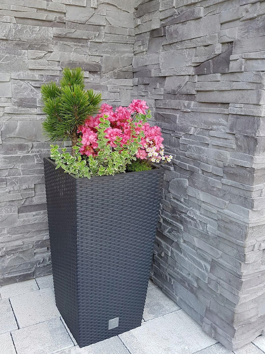 Prosperplast DRTS300 Übertopf Rattan Gray mit Gestell 29x29x55εκ.