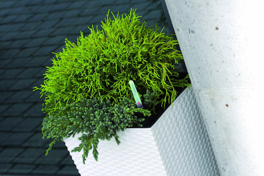 Prosperplast DRTS300 Κασπώ Rattan Καφέ 29x29x55εκ.