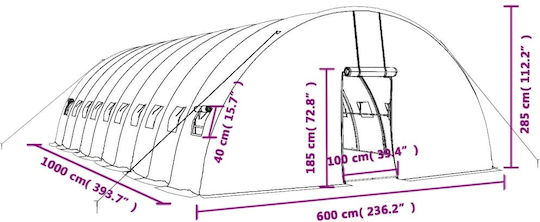 vidaXL 3188119 Gewächshaus Typ Haus mit Metallrahmen 10x6x2.85m