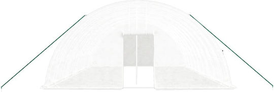 vidaXL 3188119 Gewächshaus Typ Haus mit Metallrahmen 10x6x2.85m
