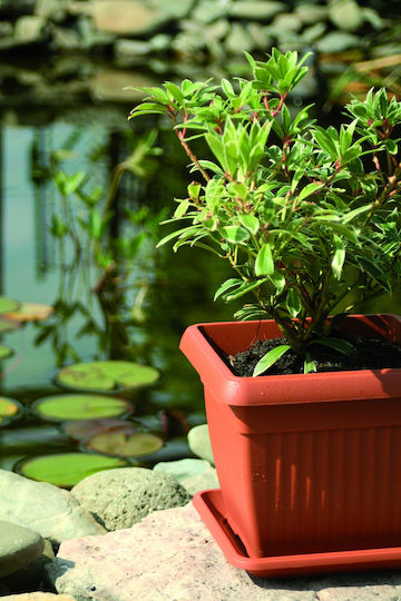 Prosperplast Terra Blumentopf Kunststoff Terracotta Prosperplast Terra Blumentopf Kunststoff Terracotta