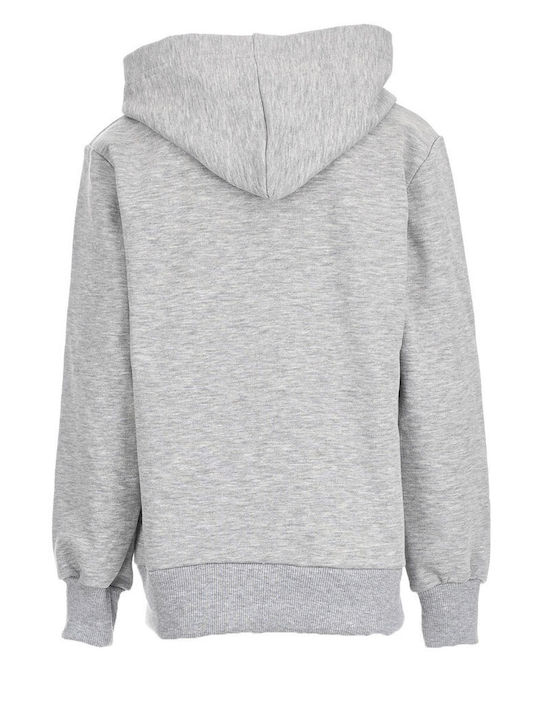 Piccino Boys Hooded Sweatshirt with Zipper Gray