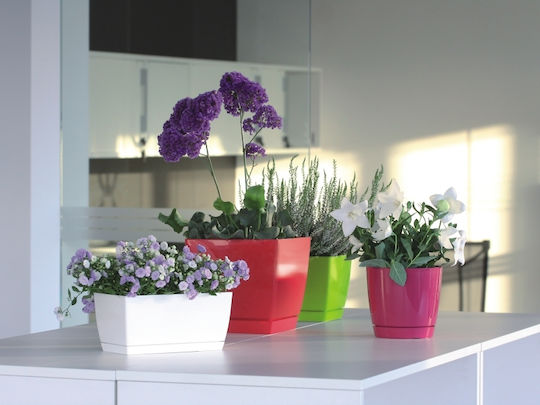 Prosperplast Coubi Square P DUKP100 Каспо Пластмасово Prosperplast Coubi Square P DUKP100 Каспо Пластмасово
