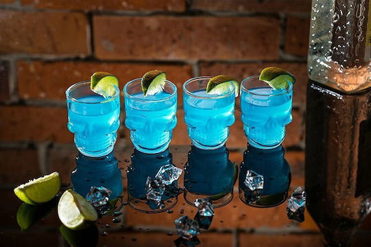 Gadget Master Schnapsgläser aus Glas 4Stück Gadget Master Schnapsgläser aus Glas 4Stück