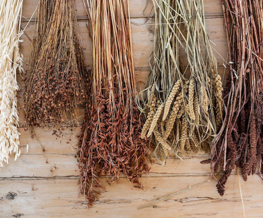 Blumenstrauß aus Dekorativen künstlichen Blumen Weiß Andrea House Blumenstrauß aus Dekorativen künstlichen Blumen Weiß Andrea House
