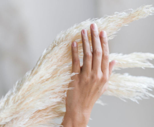 Μπουκέτο από Pampas grass Λευκό 105cm 3τμχ Andrea House