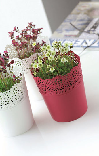 Prosperplast Lace DLAC Γλάστρα Πλαστική Λευκή Prosperplast Lace DLAC Γλάστρα Πλαστική Λευκή
