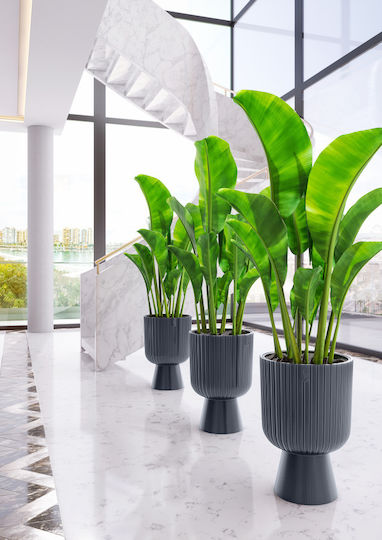 Form Plastic Keli Mika Petit Plastic Flower Pot Anthracite 17.8x17.8x26.5 cm