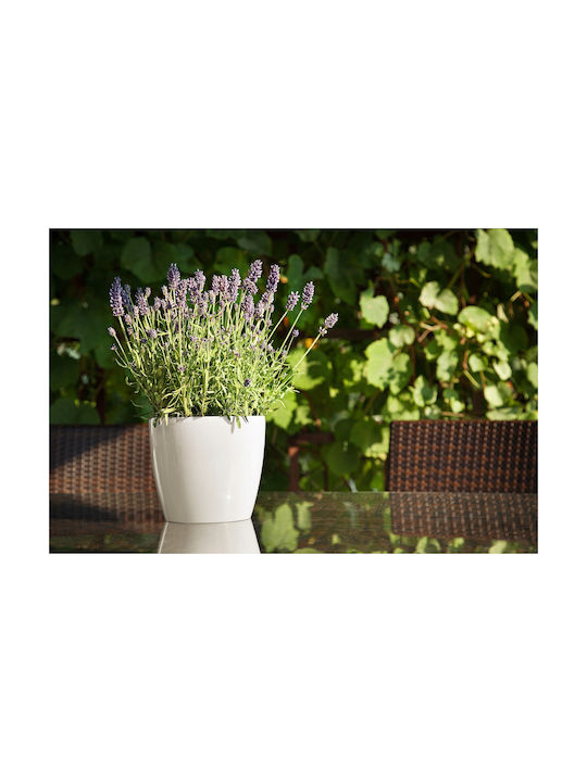 Lamela Magnolia Γλάστρα Πλαστική Λευκή 25x25x22εκ.