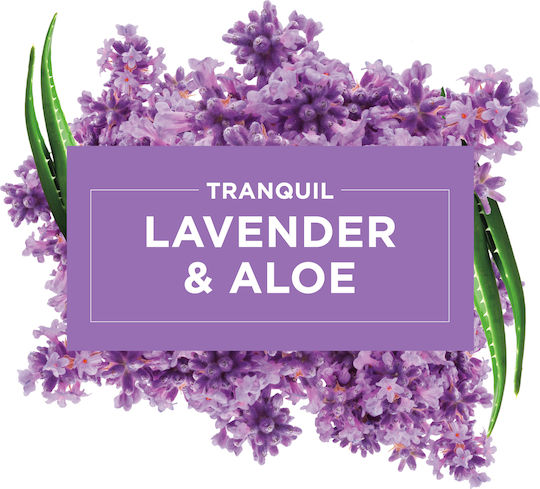 Glade Nachfüllpack für Steckdosen-Geräte mit Duft Lavendel 20ml