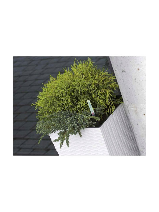Prosperplast Rato Topf Kunststoff Anthracite 22.5x22.5x23cm.