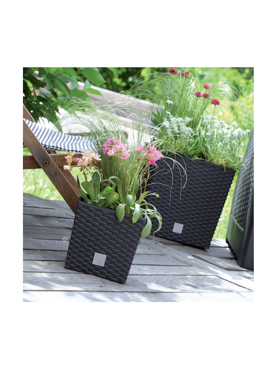 Prosperplast Rato Topf Kunststoff Anthracite 22.5x22.5x23cm.