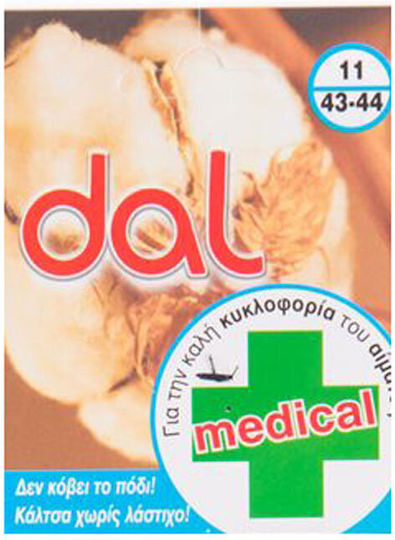 Dal Socken