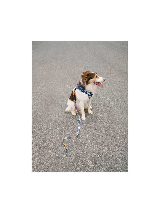 Zee-Dog Hundegeschirr Weste Air Mesh Maze Blau Mittel 40-59cm 02597