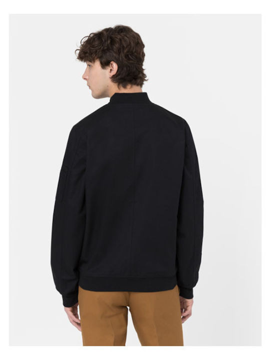 Dickies Dickies