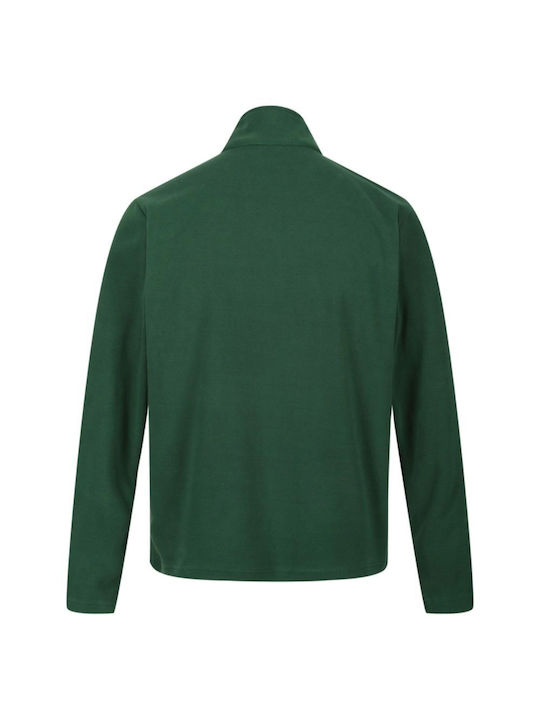 Thompson Langarm-Pullover Grün