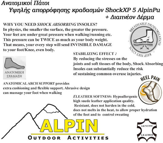 Alpin 5 Δερμάτινοι Ανατομικοί Πάτοι Παπουτσιών Εργασίας 4589-3-2 2τμχ