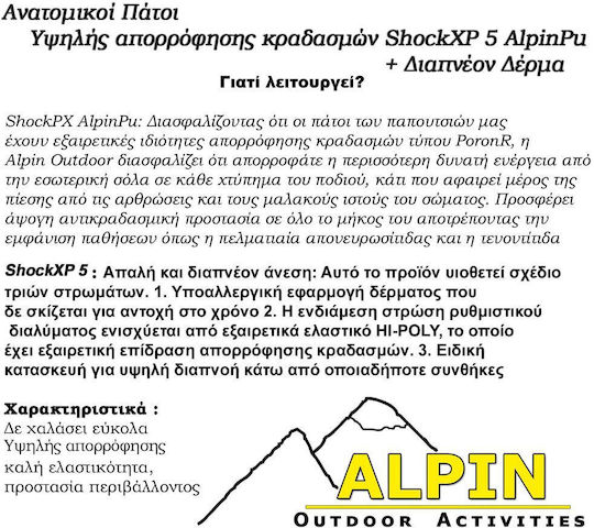 Alpin 5 Δερμάτινοι Ανατομικοί Πάτοι Παπουτσιών Εργασίας 4589-3-2 2τμχ