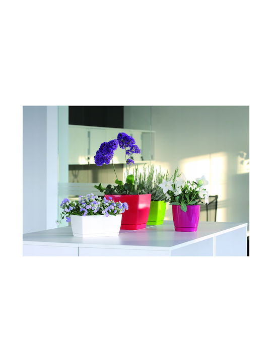 Marhome Coubi Case P Planter Box Plastic White 24x12x11cm.